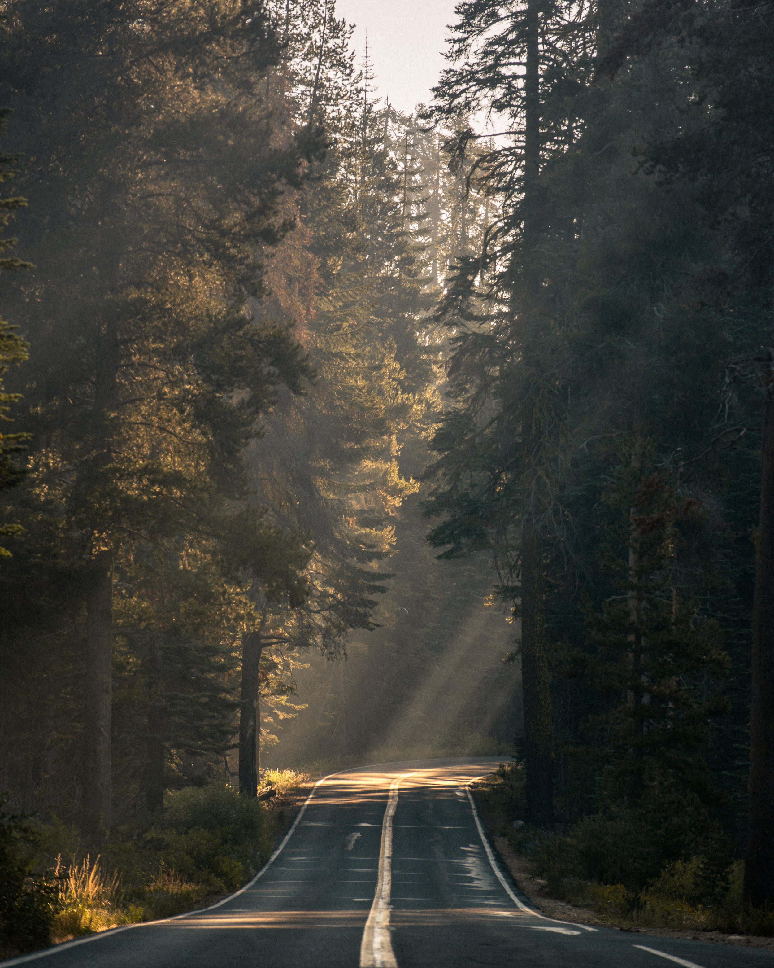 Yosemite, California