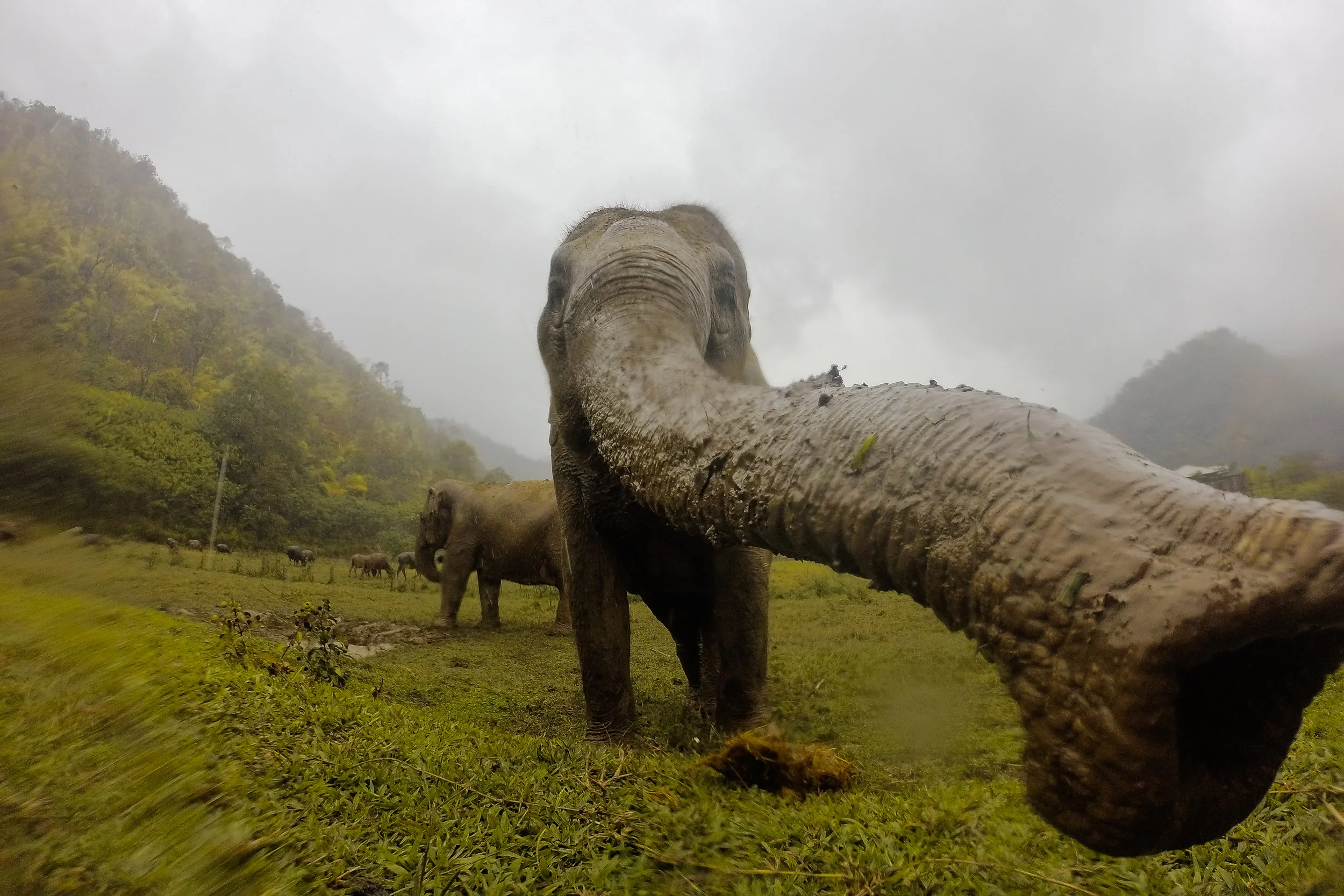 Chiang Mai, Thailand