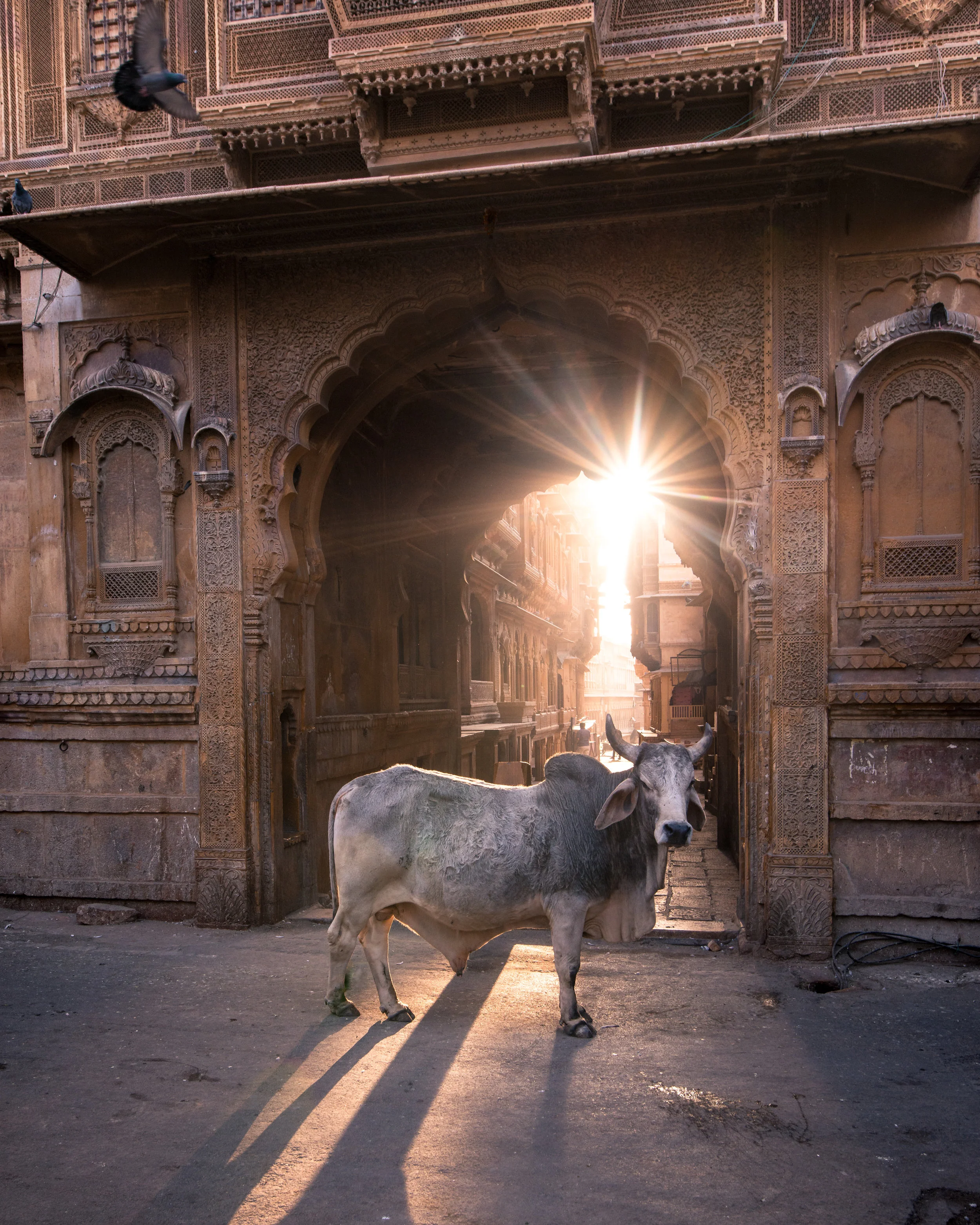 Jaisalmer, India
