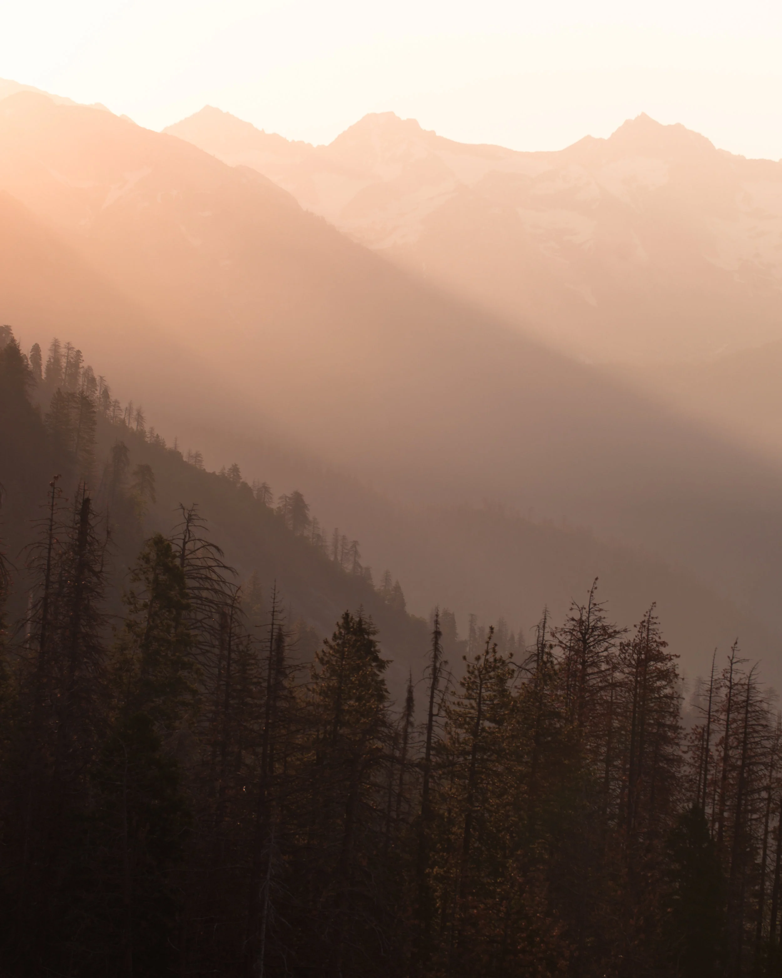 Sequoia National Park, California