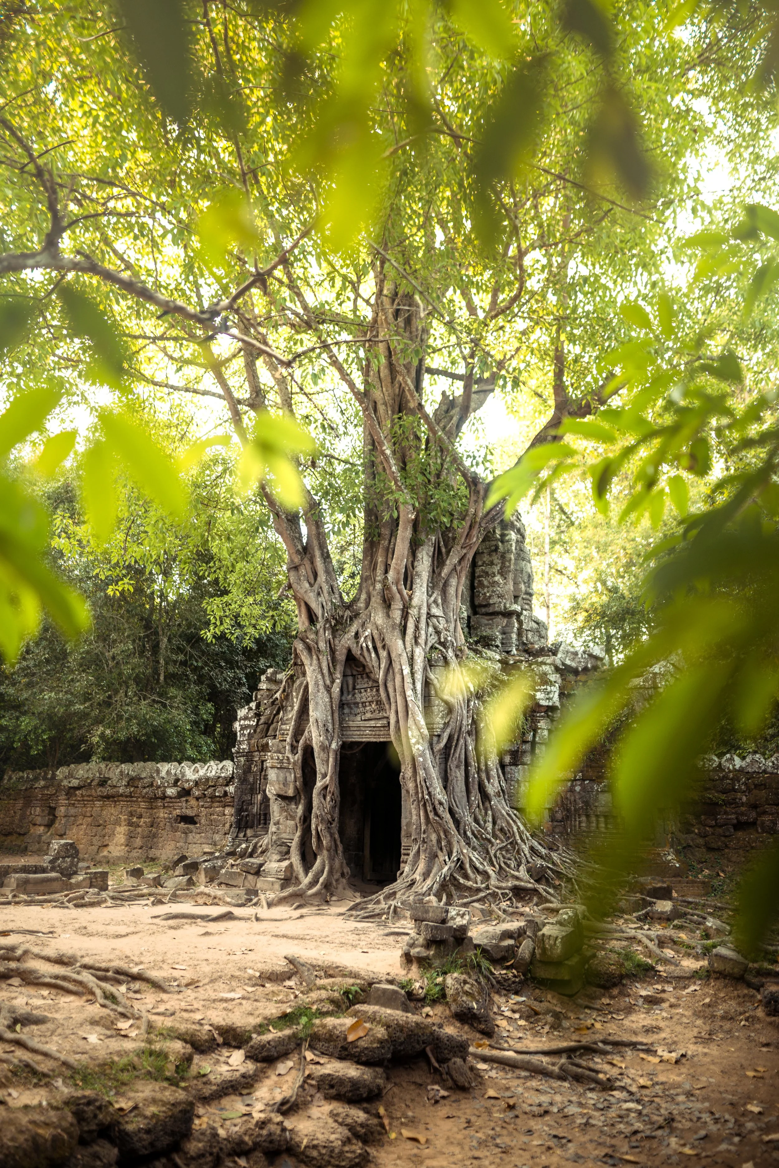 Angkor Wat, Cambodia