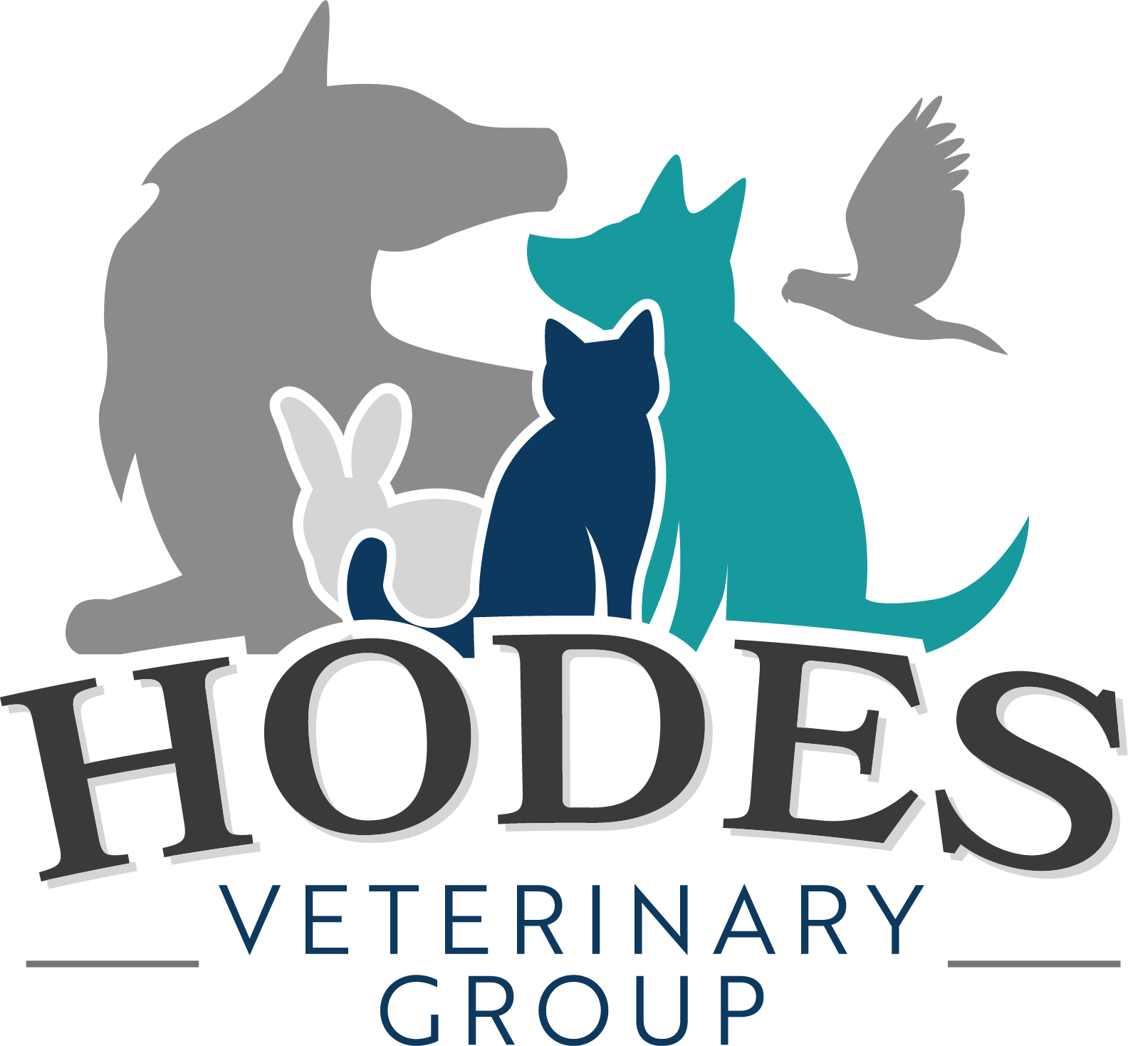 Hodes Veterinary Group