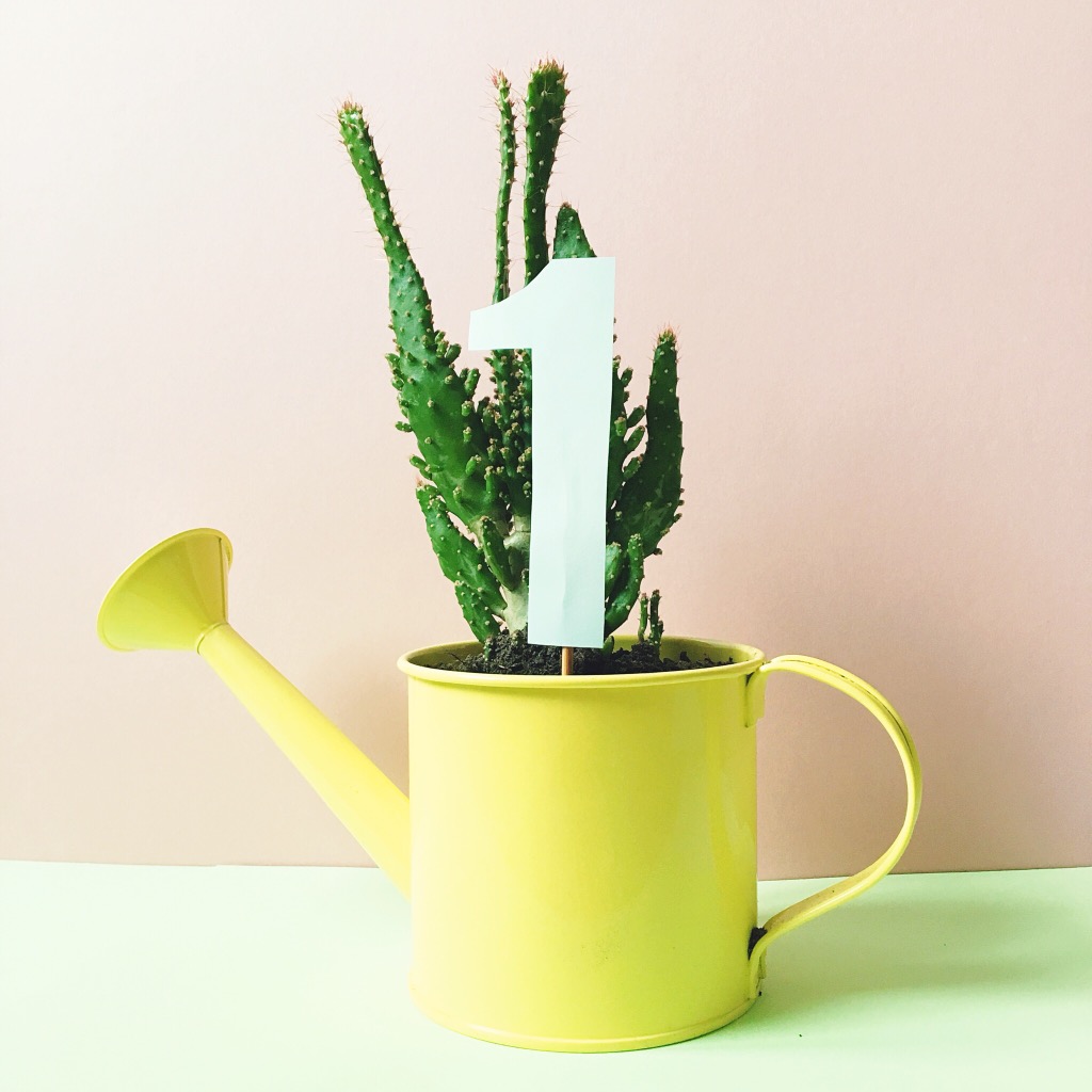 bright pastel table numbers