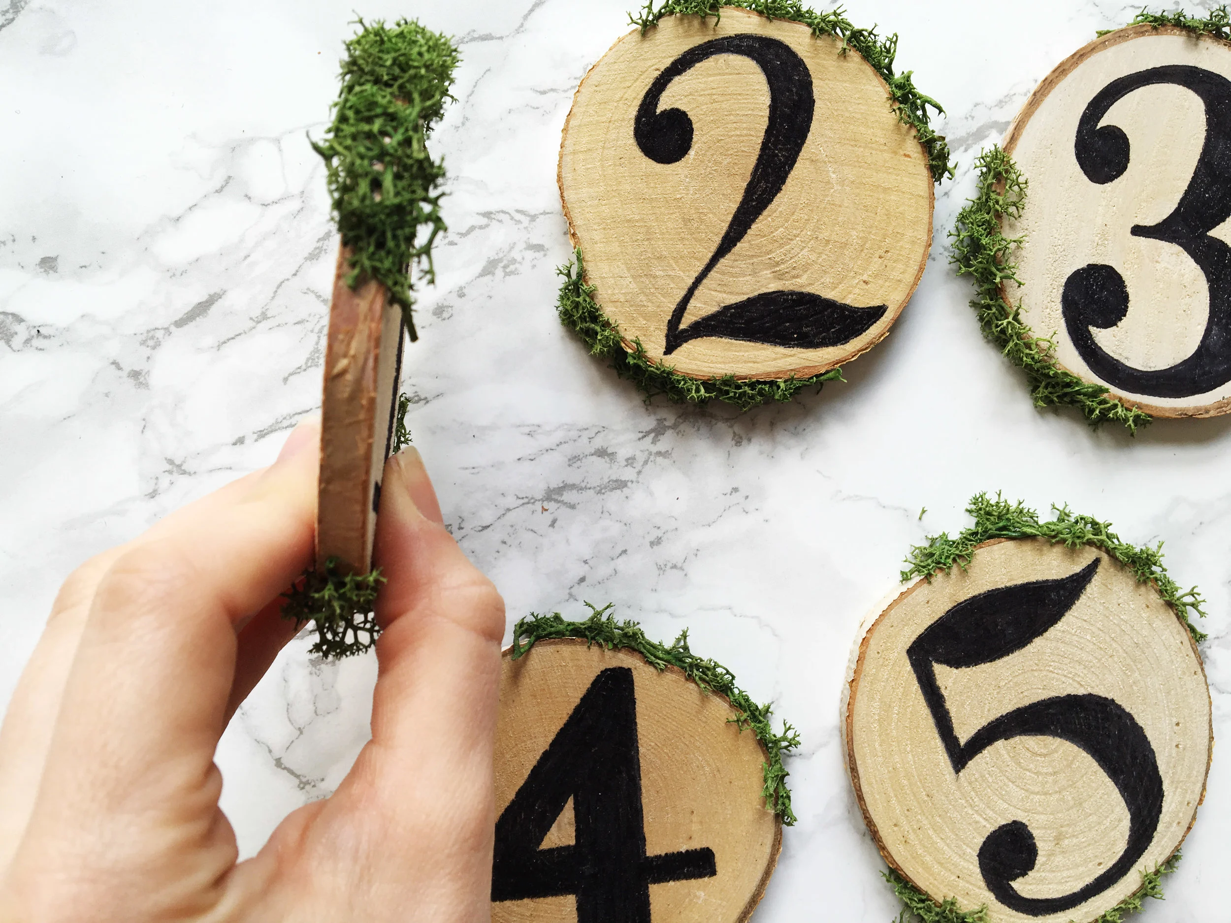 wood slice table numbers