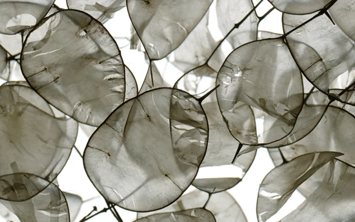 Torn_30x50_KirbyJones.jpg