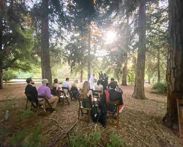 Just us and family 'Intimate'
#intimateweddings #realweddings #weddingday #wedding #luxurywedding #signatureweddings #atouchofclasseventsco #atouchofclass #angelicaflores #angieflores #weddingcoordinator #actors #botanical #outdoorceremony #outdoorwe