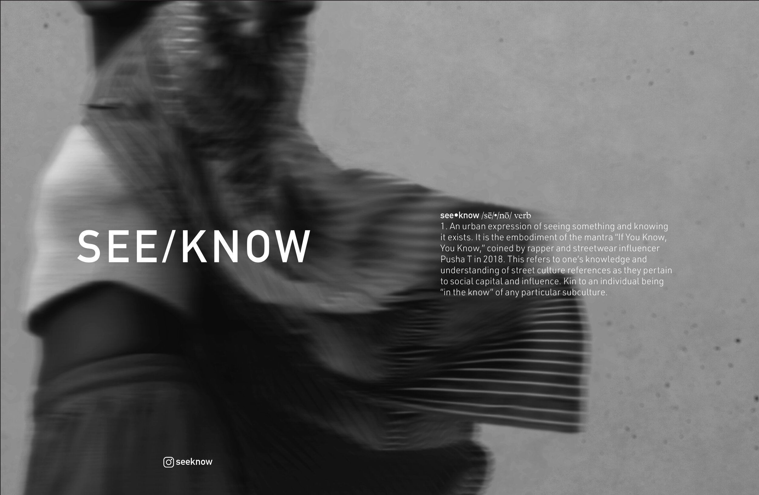 See_know ad (final).jpg