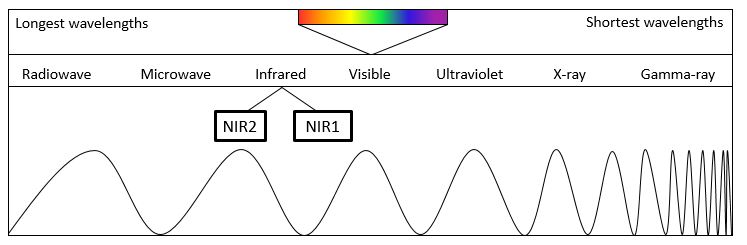 Graphic by Stephanie DeMarco Box 1: The electromagnetic spectrum is a representation of the different wavelengths of light. It is depicted here showing light with the longest wavelength on the left to light with the shortest wavelength on the right. NIR1 and NIR2 both represent specific ranges of wavelengths in the infrared part of the spectrum, with NIR1 corresponding to wavelengths from 650-900 nm and NIR2 corresponding to wavelengths from 950-1400 nm.