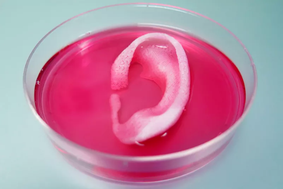 (Photo: Wake Forest Institute for Regenerative Medicine)