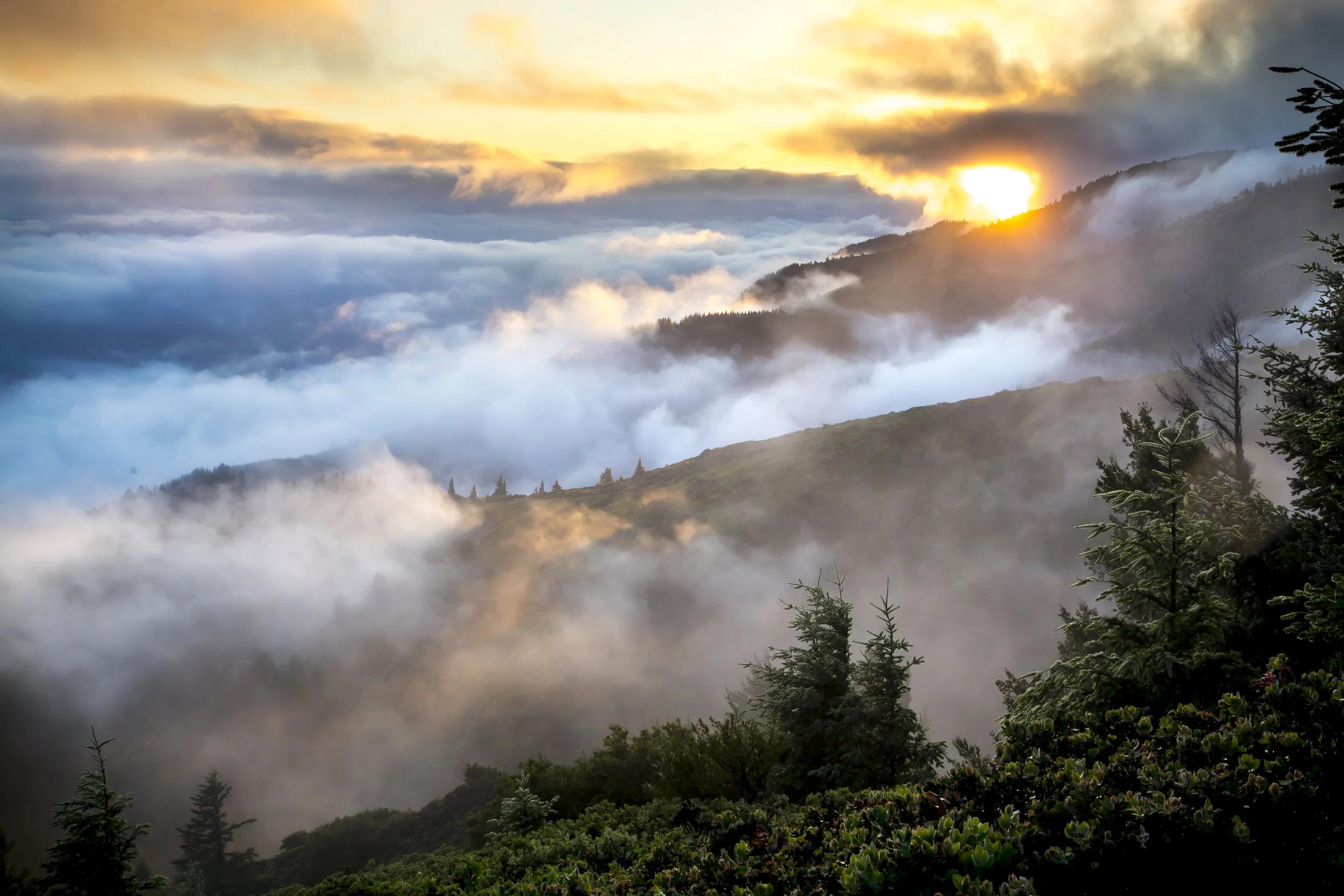 This picture uses a telephoto lens with a long focal length to magnify an image of a distant mountain range. Image Credit: “ #TravelTuesday with Guest Photographer Bob Wick to California’s Humboldt Coast! ” by Bob Wick and contributed by the Bureau of Land Management is licensed under CC BY 2.0