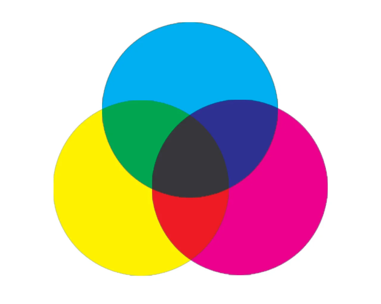 Visible Light and the Language of Color