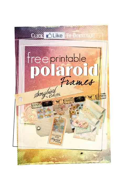 Promotional Flyer: Friday Freebie