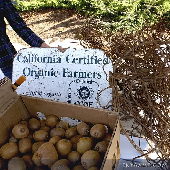 kiwi-vine-farmers-market.jpg