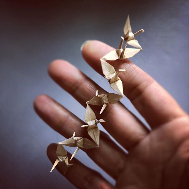 A typical renzuru of 7 cranes folded from a single sheet of 1&rdquo;x7&rdquo; paper. I&rsquo;ve made so many of these over the years they&rsquo;ve become more time consuming than challenging. Tomorrow I&rsquo;ll share a 9 crane renzuru I hadn&rsquo;t