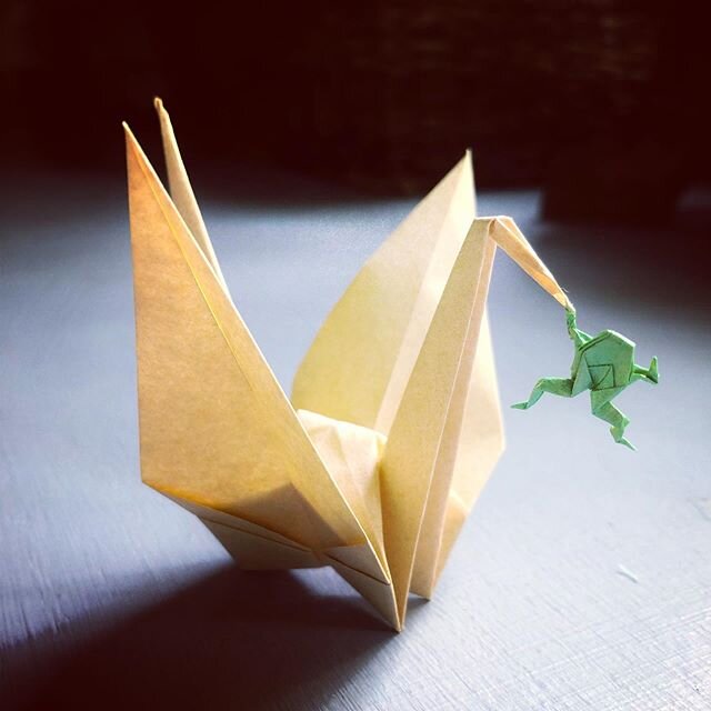 This is the third time I&rsquo;ve made this &ldquo;Lunchtime&rdquo; renzuru. But, it&rsquo;s the first time making it with O-gami paper for the upcoming, renzuru, video tutorial @paper_circle is sponsoring. The frog is made from the same connected sh