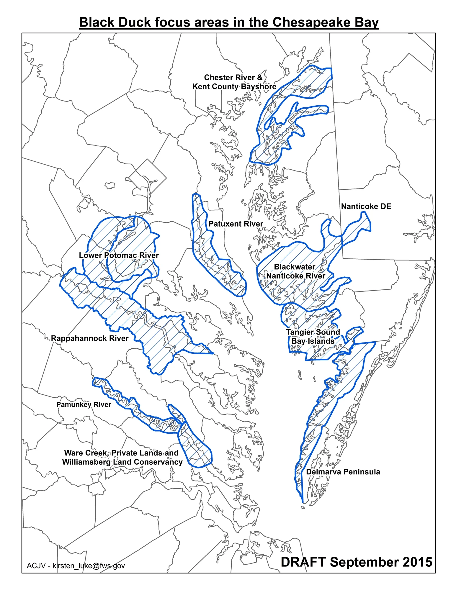 Prime Chesapeake black duck habitat