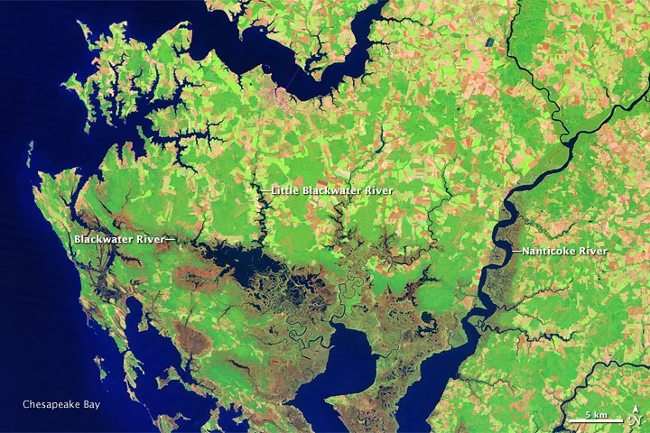 USGS map of Blackwater