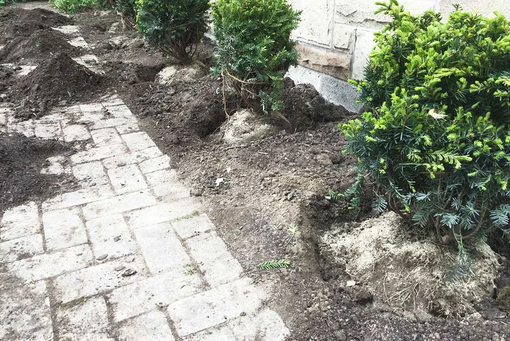 Welcome-Laurel-Gardening-08.jpg