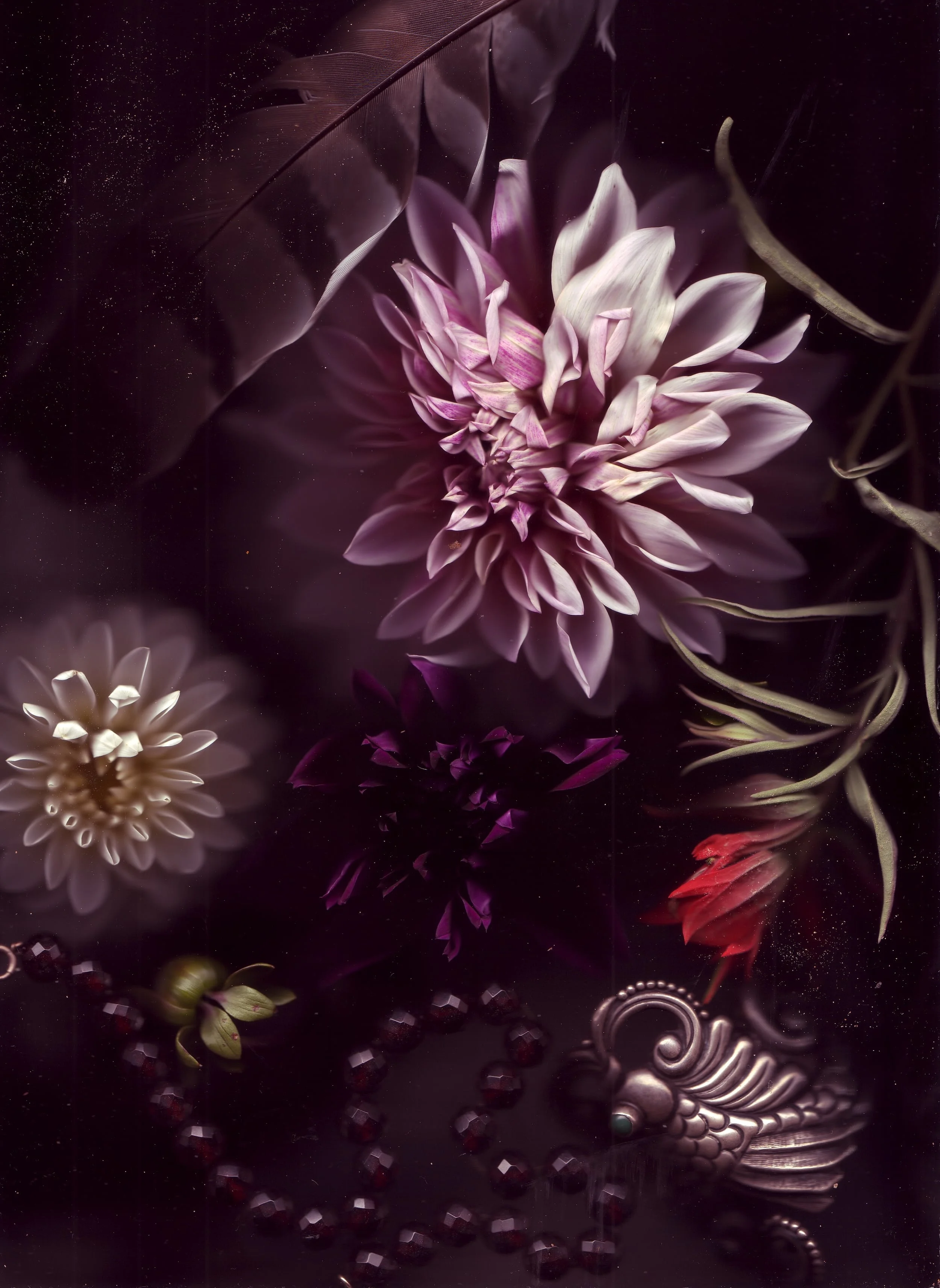 Untitled-54.jpg