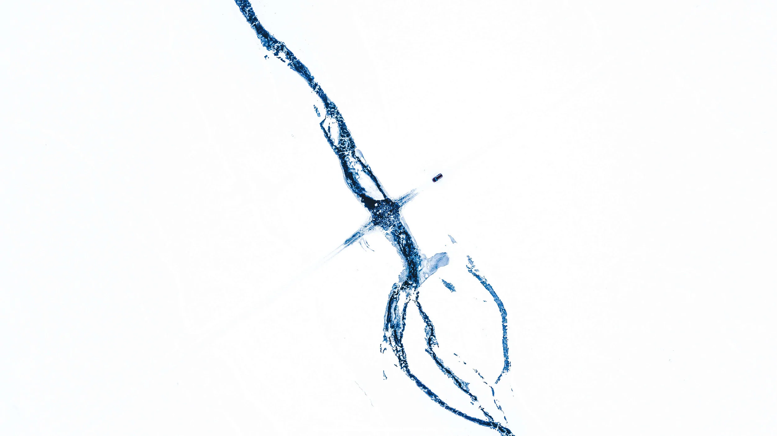 39662076242_7a47405a60_o.jpg
