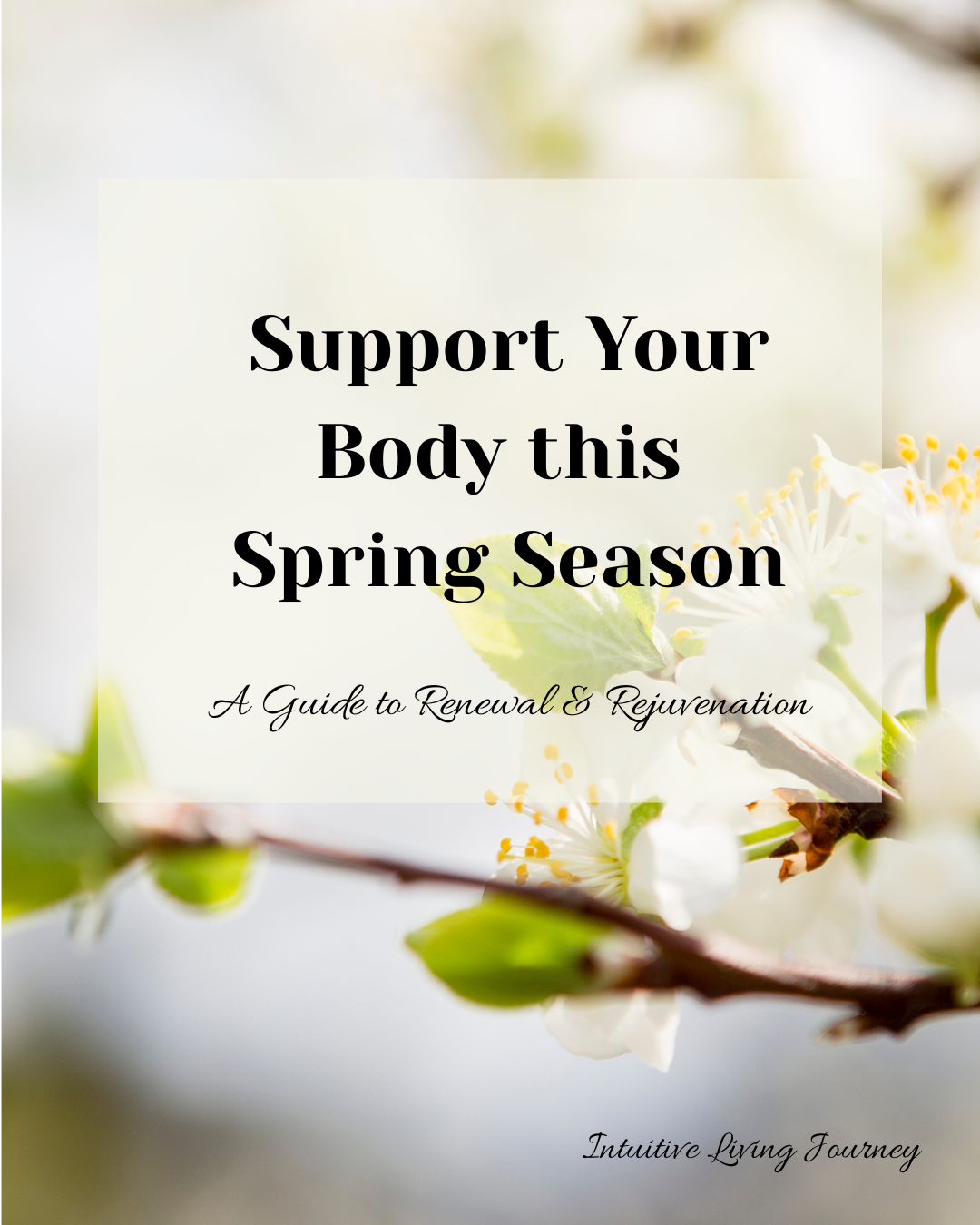 Recovery Regrowth Spring Sacred Circles