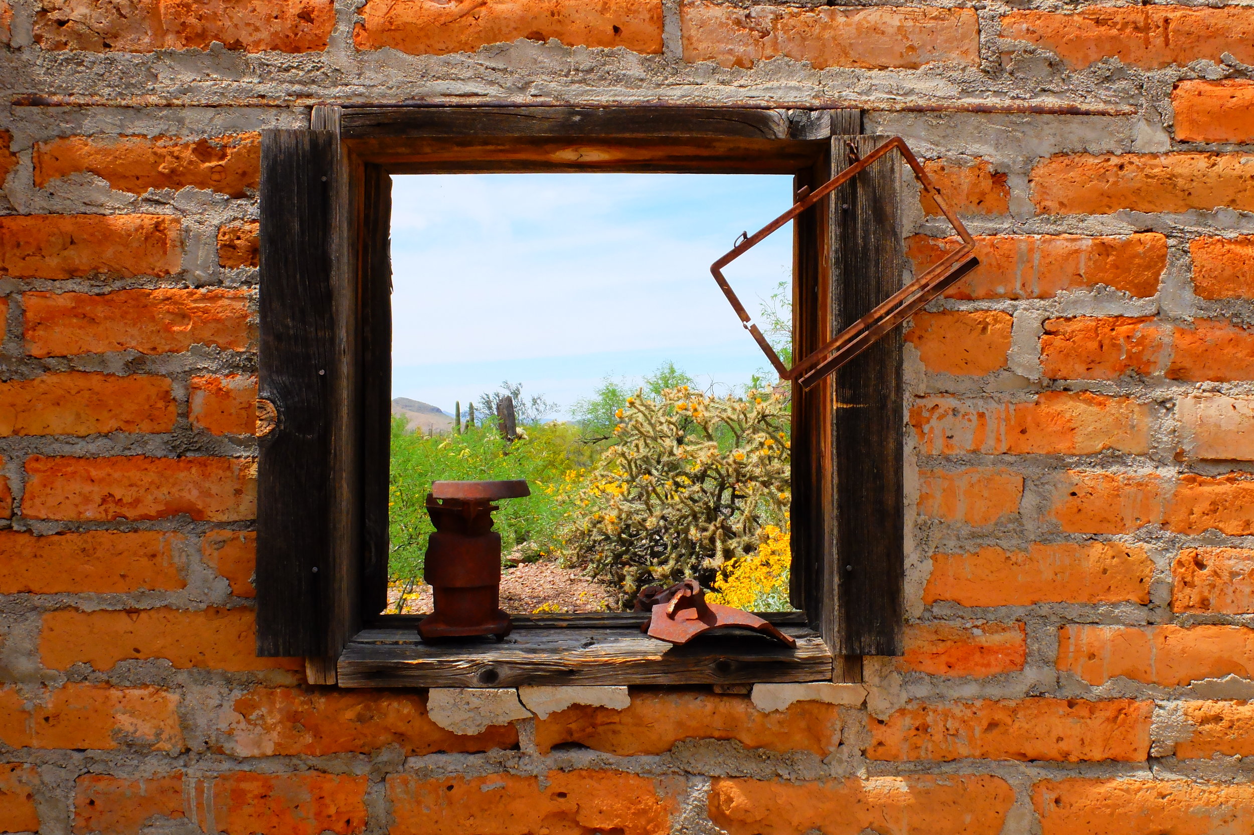 REI Adventures: Arizona Hiking - Tucson &amp; Sonoran Desert 