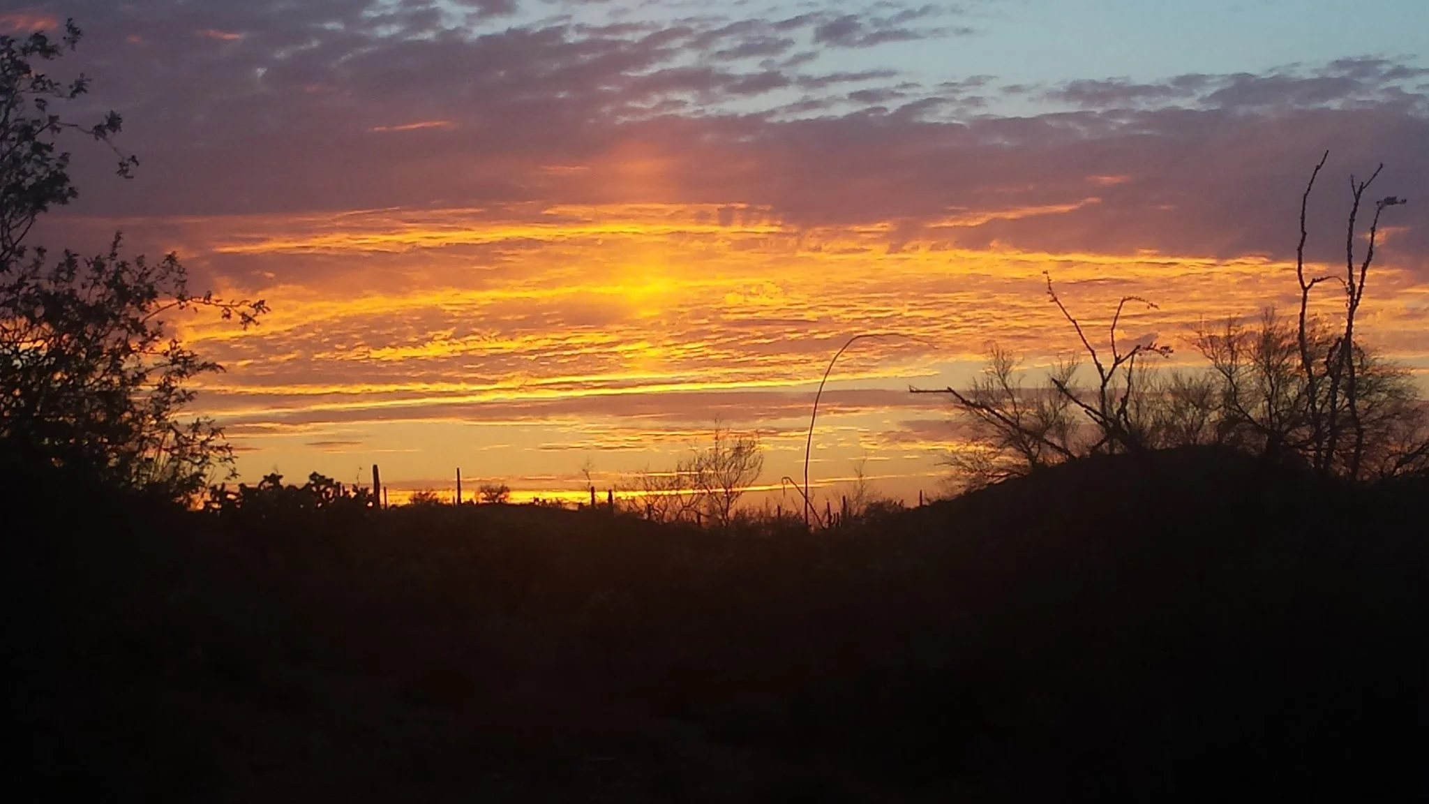 REI Adventures: Arizona Hiking – Tucson & Sonoran Desert
