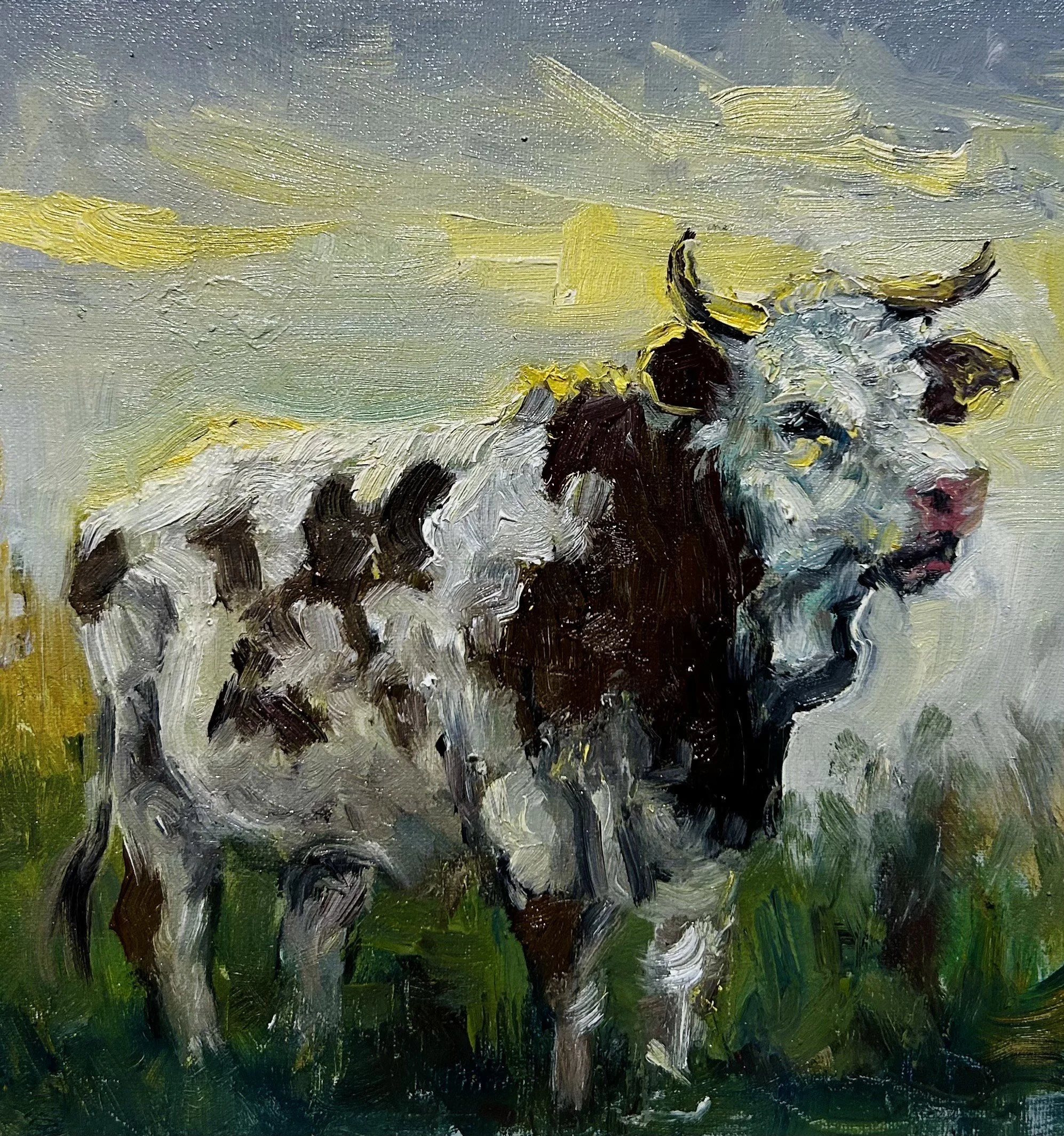 Cow II