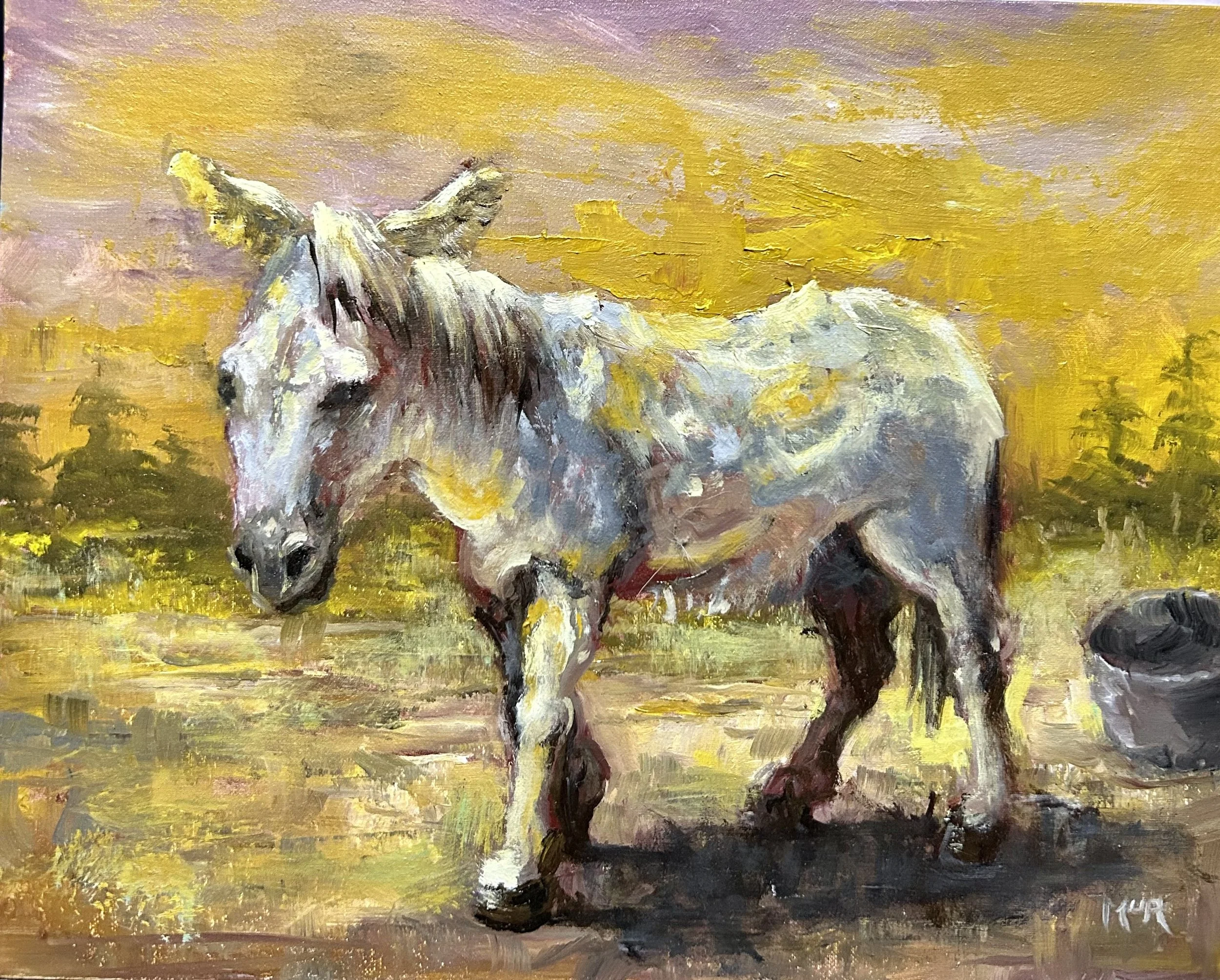 Donkey I