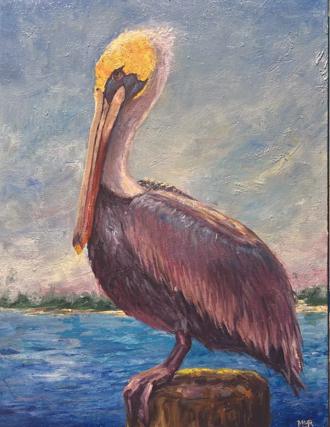 Pelican on a Piling
