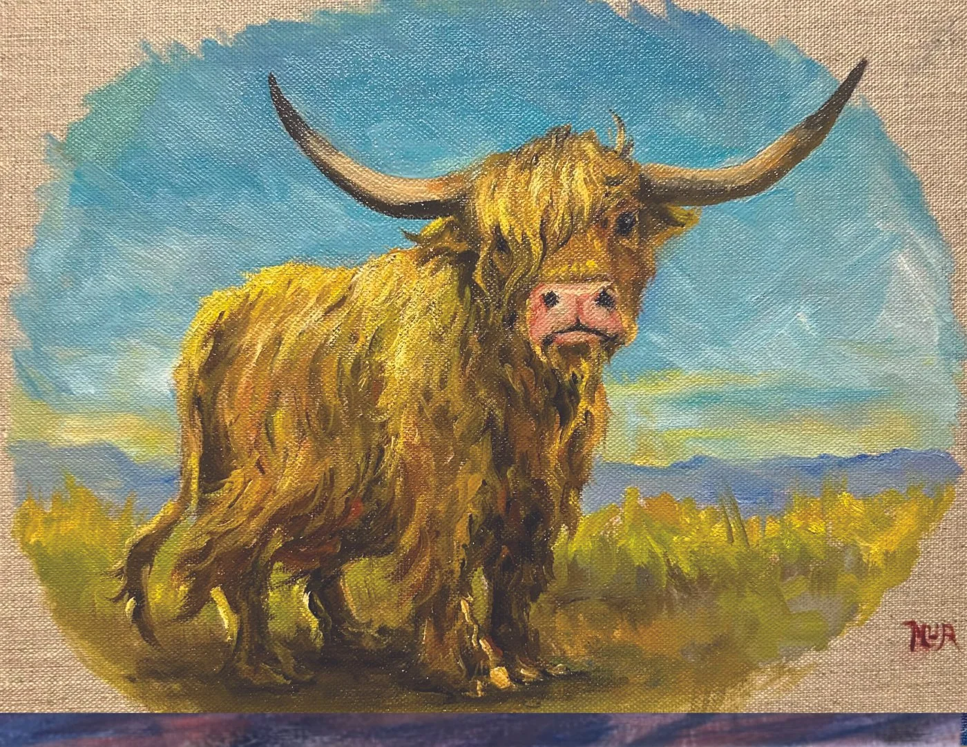 Highland Cow