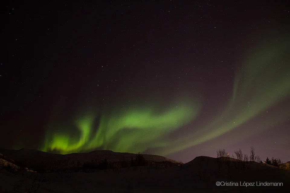 El primer día la aurora boreal apareció tímida intentando camuflarse con una nube y mucho más temprano de lo que esperabamos