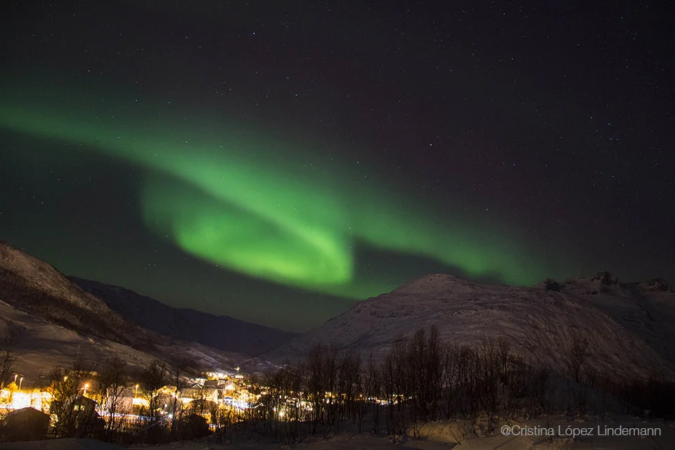 Aurora_9.jpg