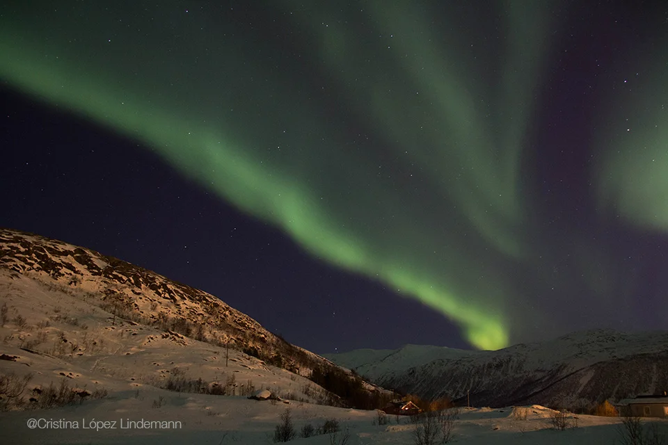 Aurora_4.jpg