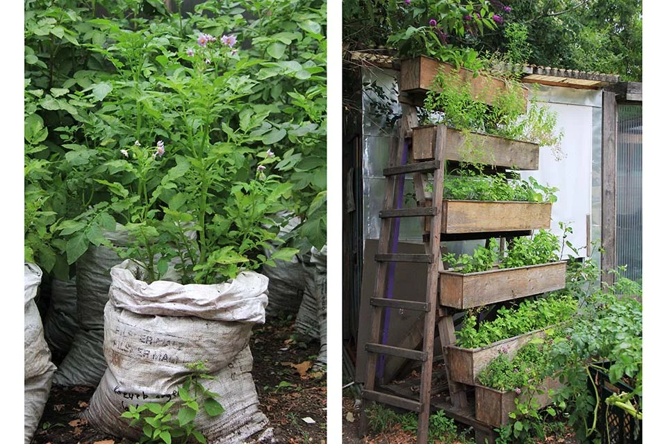 En Prinzessinnengärten todo es cultivable.