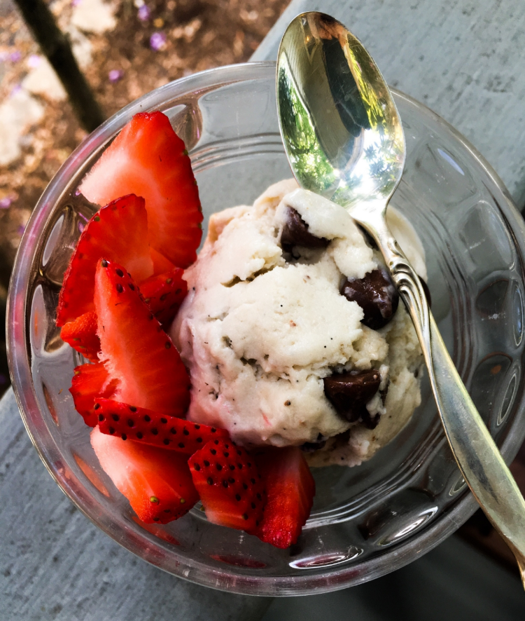 Raw Honey & Salted Chocolate Chip Ice Cream
