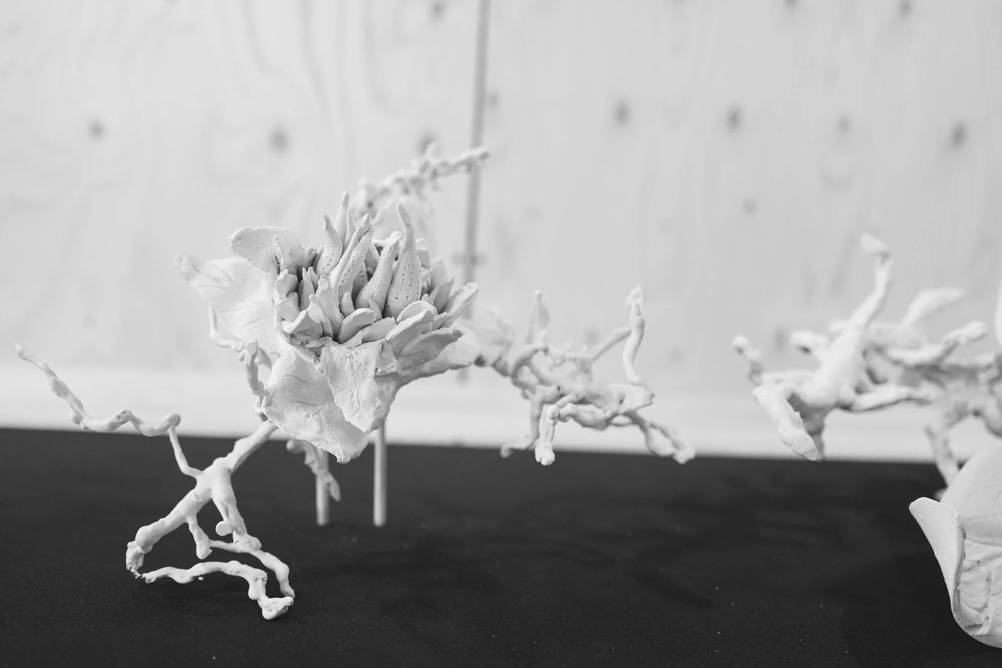 L1040513.jpg