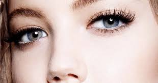 lash 3.jpg