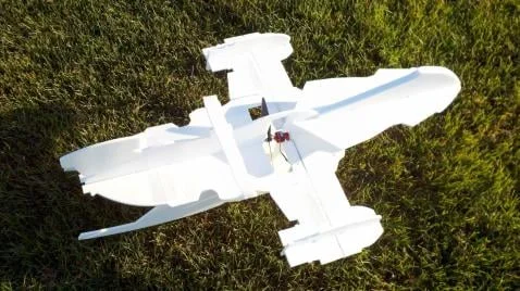 firefly+4.jpg