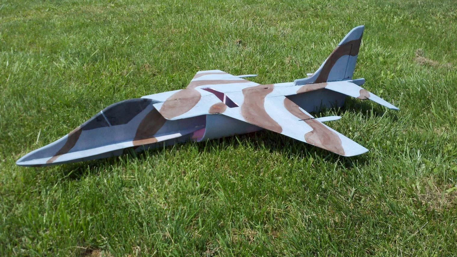 harrier2.jpg