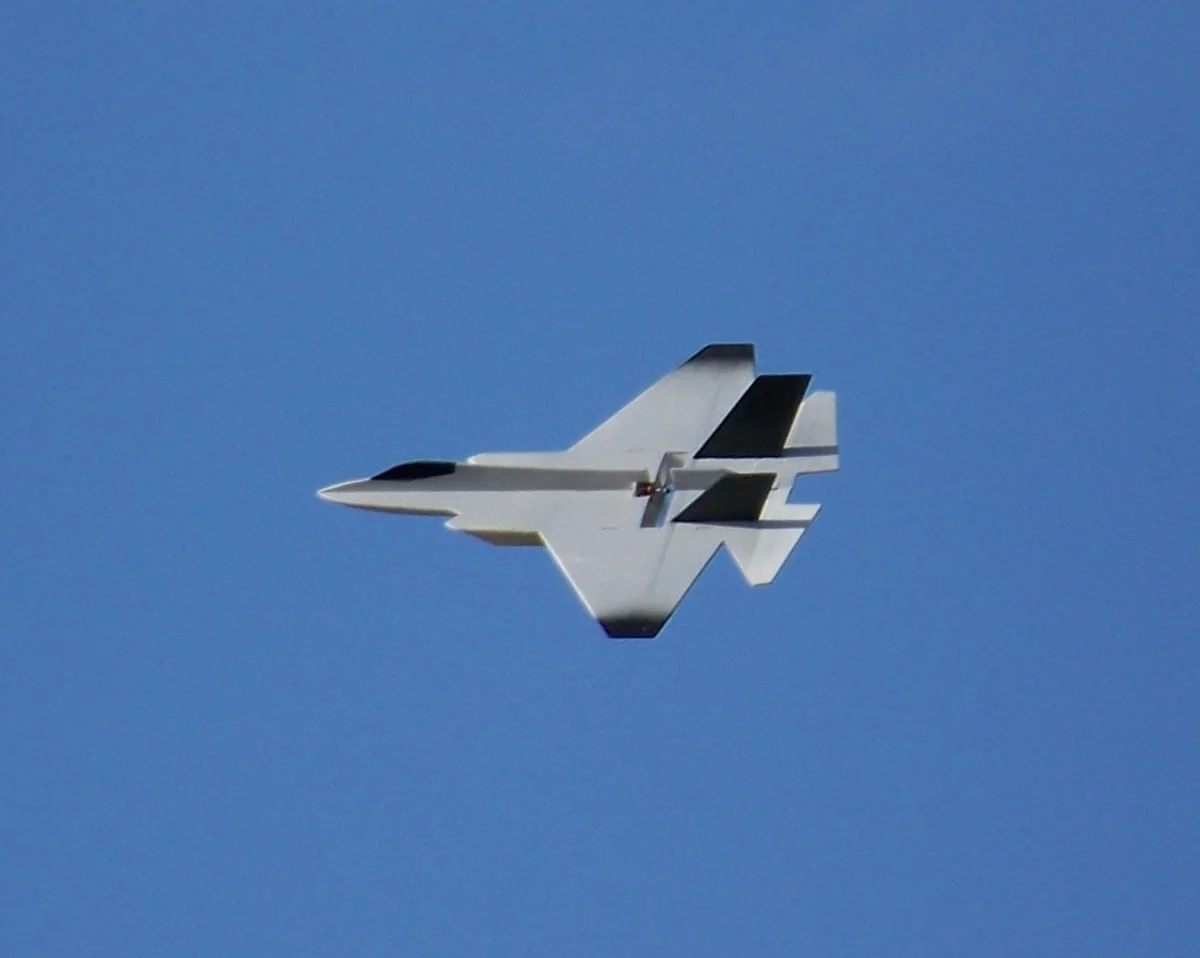 f354.jpg