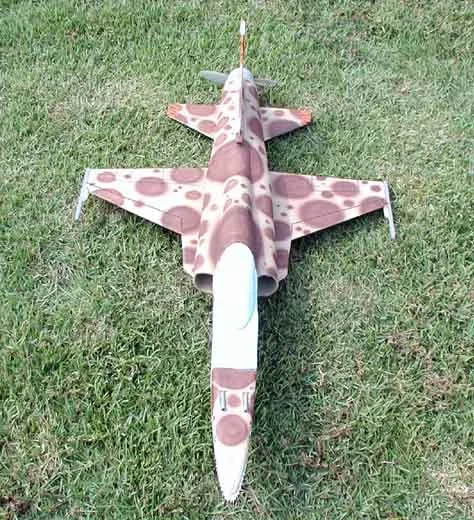 f-20-painted.jpg