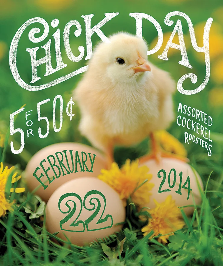 ChickDayHandLettering.jpg