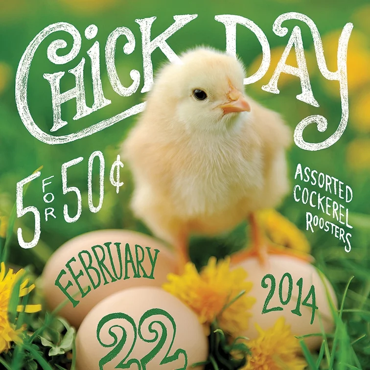 ChickDayHandLettering.jpg