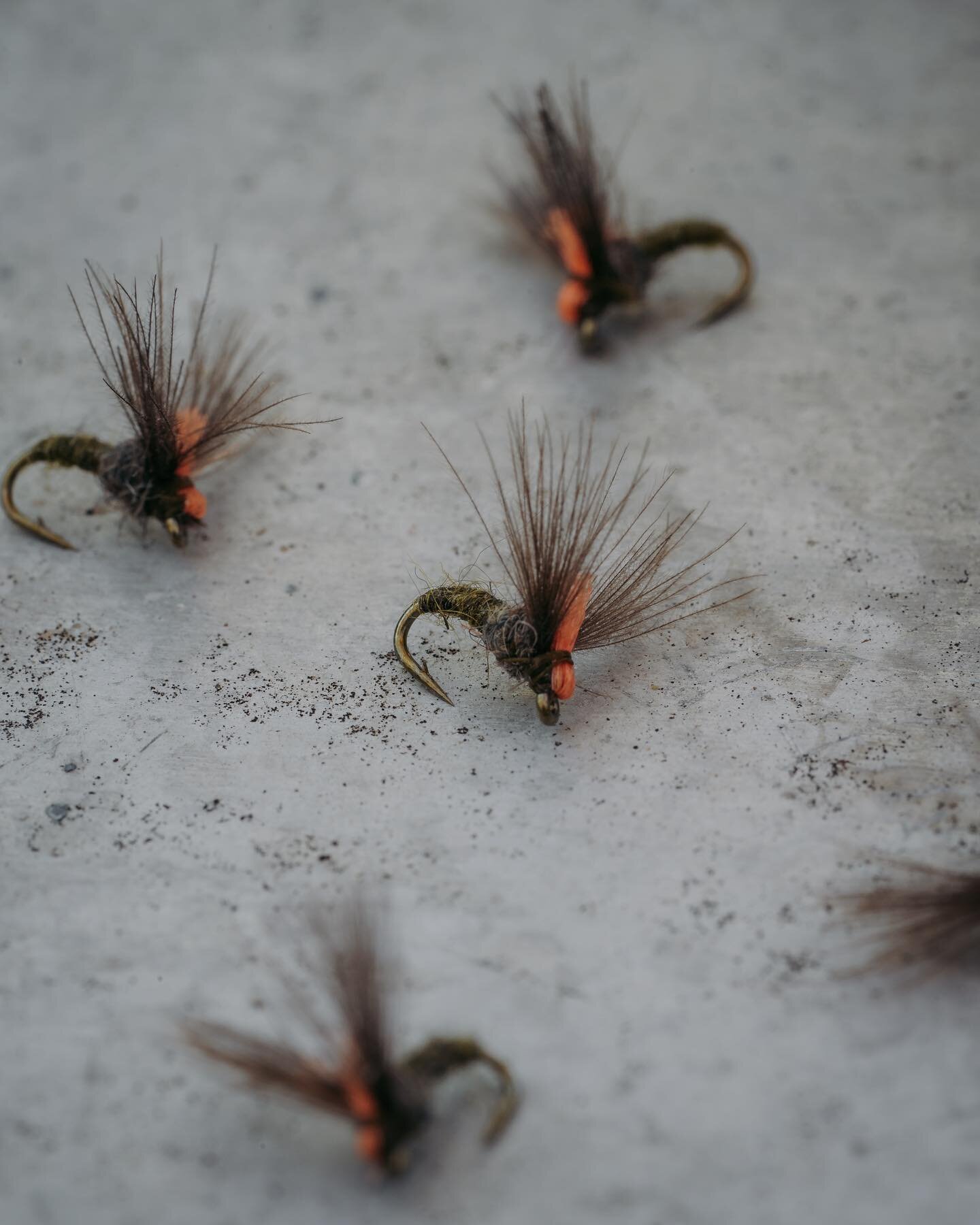 @umpquafeathermerchants Antonio&rsquo;s Emerger BWO is a great bug this time of year. We are starting to see some early Blue Wings coming off and this is a great pattern to imitate the small emerging bugs on the surface.

Stop by and pick some up!
-
