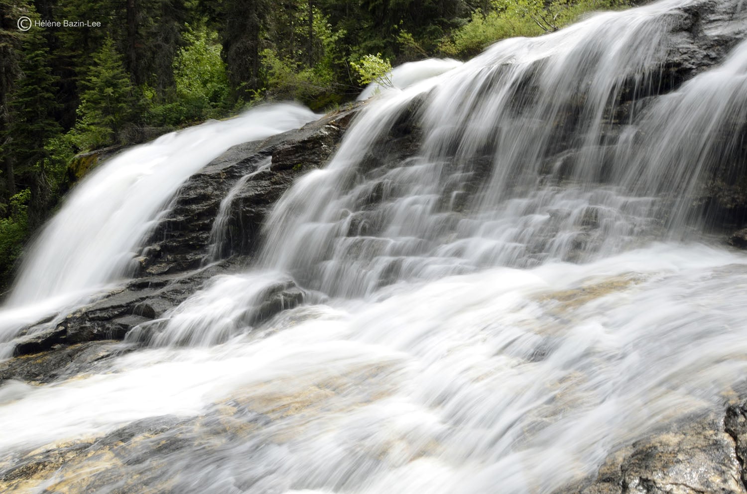 Bass Creek, Northern Bitterroot