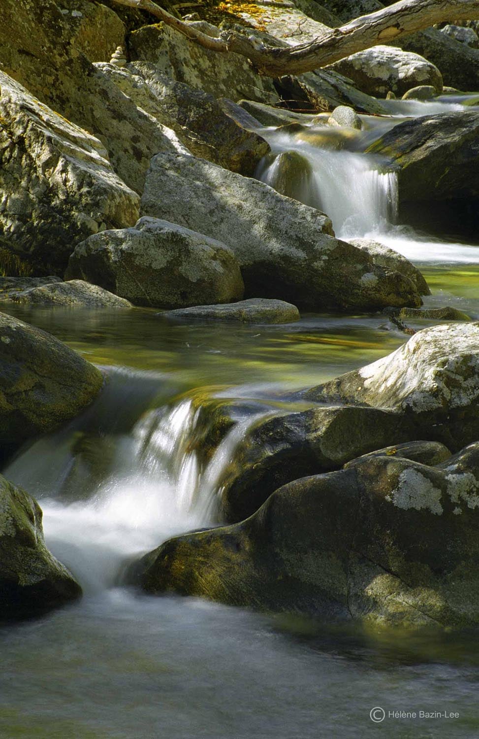 Kootenai Creek, Northern Bitterroot