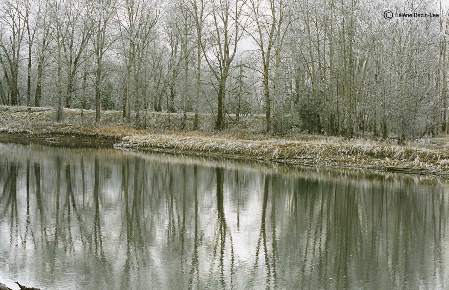 Bitterroot River 