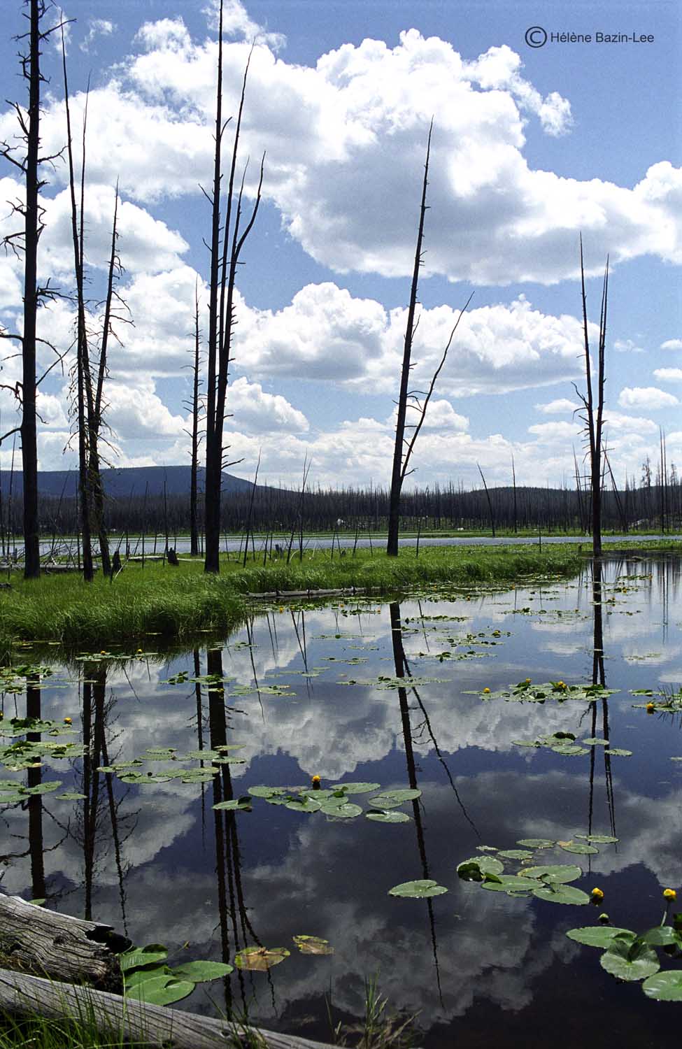 Medecine Lake