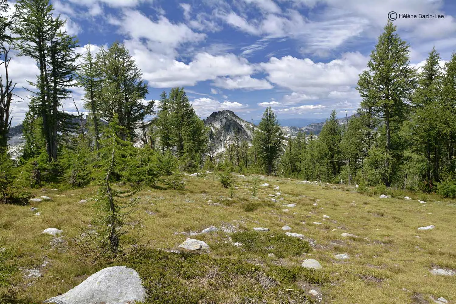 Hiking to Glen Peak, Northern Bitterroot